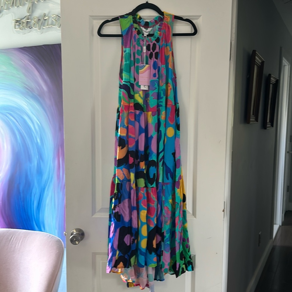 Proud Poppy x Kasey Rainbow size 12 Dress